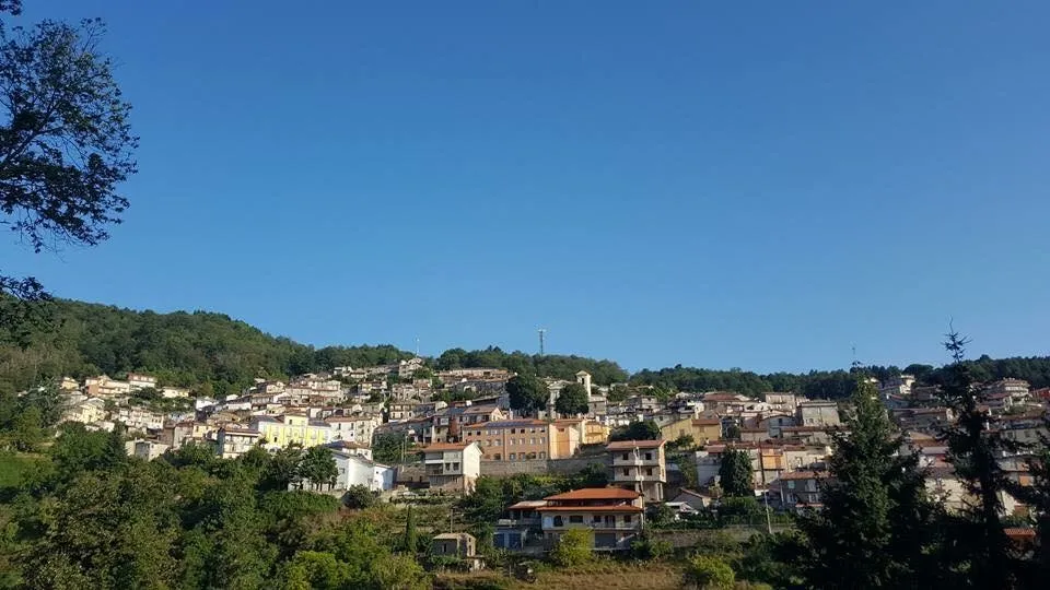 Corace