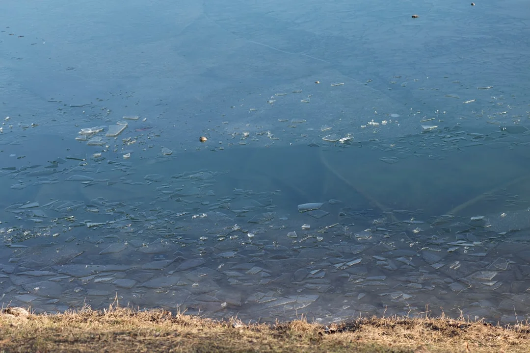 Comune di Lago