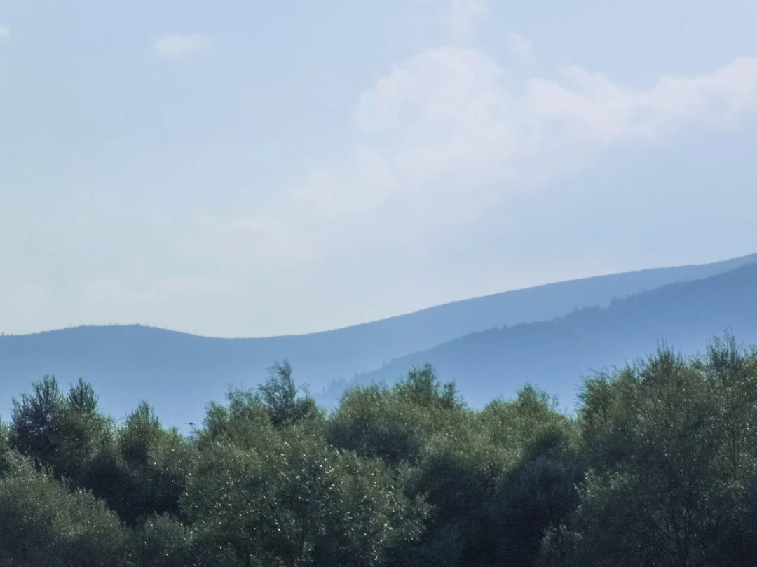 Palio dei Rioni di Montalto Uffugo