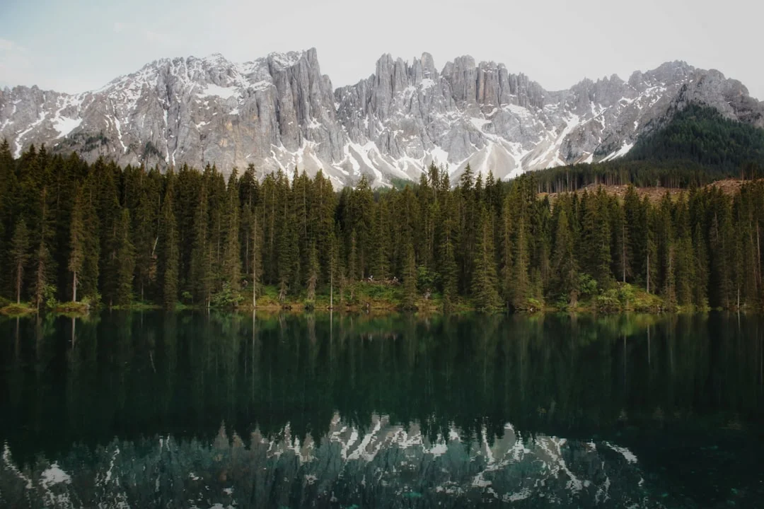 Lago 2